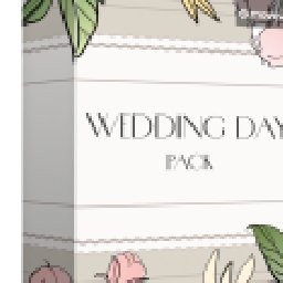 Movavi effect Wedding Day Pack 22% 折扣 代码