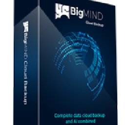 BigMIND 42% 折扣 代码