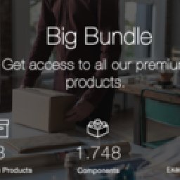 Cyber Monday Big Bundle 30% 折扣 代码