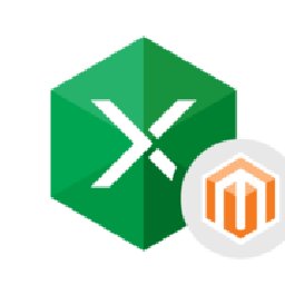 Excel Add-in Magento