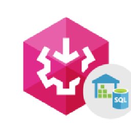 SSIS Data Flow Components Azure SQL Data Warehouse 25% 折扣 代码