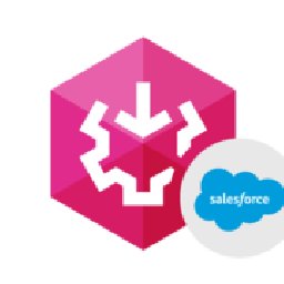 SSIS Data Flow Components Salesce 25% 折扣 代码