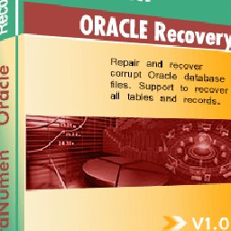 DataNumen Oracle Recovery 20% 折扣 代码