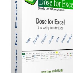 Dose Excel 10% 折扣 代码