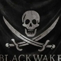 Blackwake PC 21% 折扣 代码