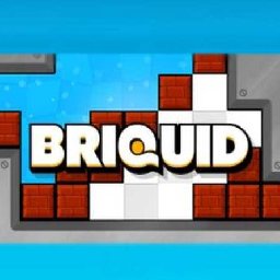 Briquid PC 61% 折扣 代码