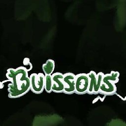 Buissons PC 62% 折扣 代码