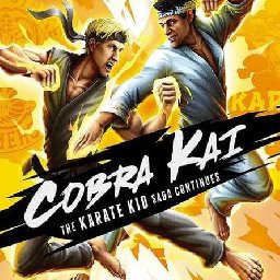 Cobra Kai 84% 折扣 代码