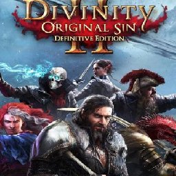 Divinity Original Sin