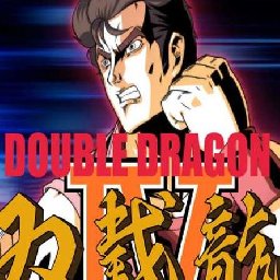 Double Dragon IV PC