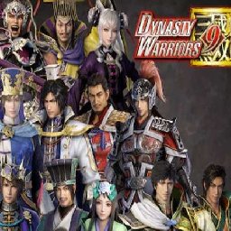 Dynasty Warriors Special Weapon