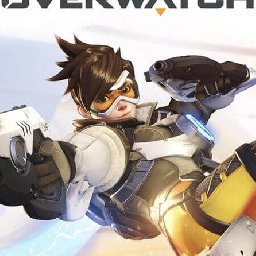 Overwatch Legendary Edition PC 11% 折扣 代码