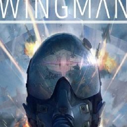 Project Wingman PC 79% 折扣 代码