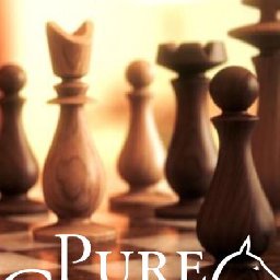 Pure Chess Grandmaster Edition PC 92% 折扣 代码