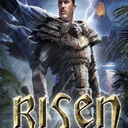 Risen PC 33% 折扣 代码