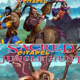 Sacred Citadel PC