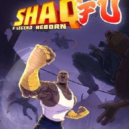 Shaq Fu