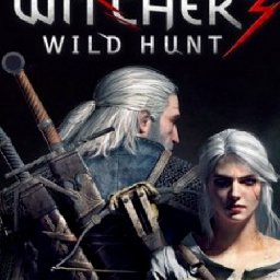 The Witcher Wild Hunt GOTY PC 80% 折扣 代码