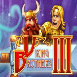 Viking Brothers PC 33% 折扣 代码