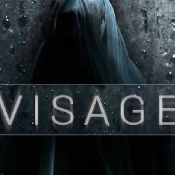 Visage PC 14% 折扣 代码