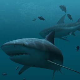 3PlaneSoft Sharks 3D Screensaver 11% 折扣 代码