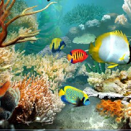 3PlaneSoft Tropical Fish 3D Screensaver 11% 折扣 代码