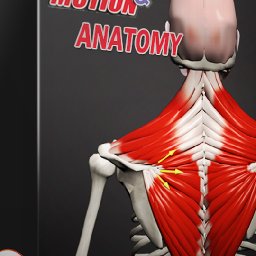 Muscle Motion Anatomy 82% 折扣 代码